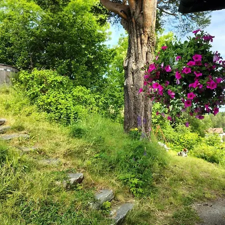 Swiss - Fjord, Forest & Mountain Views * Hoem
